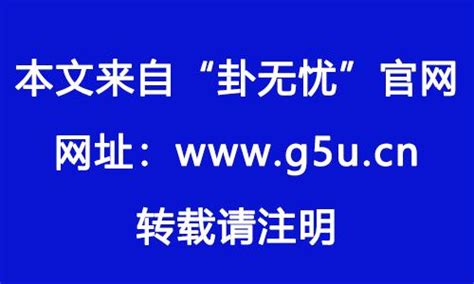 1982属相|1982年属什么生肖